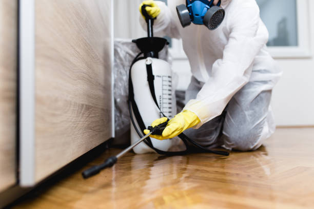 Best Affordable Pest Control Services  in Jeffersontown, KY