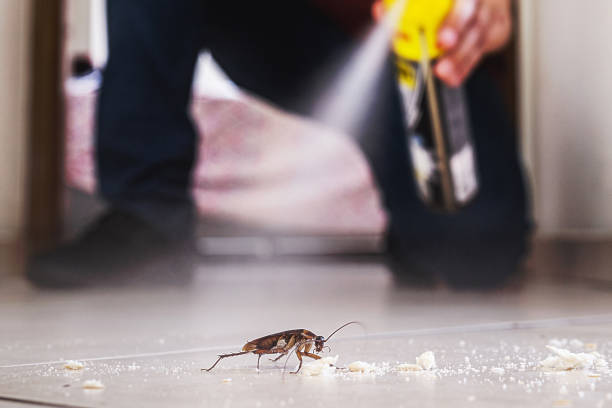 Best Pest Control for Businesses  in Jeffersontown, KY